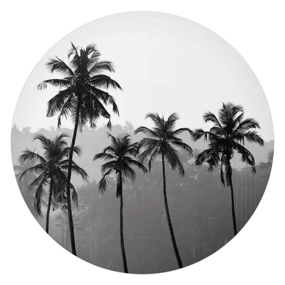 Samenwerken met Adverteerder Opsommen Glasschilderij Palmbomen Ø 70 cm Zwart-Wit Plexiglas | Leen Bakker