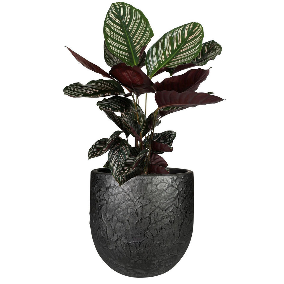 Steege Plantenpot - antiek look - keramiek - zwart - 28 x 25 cm