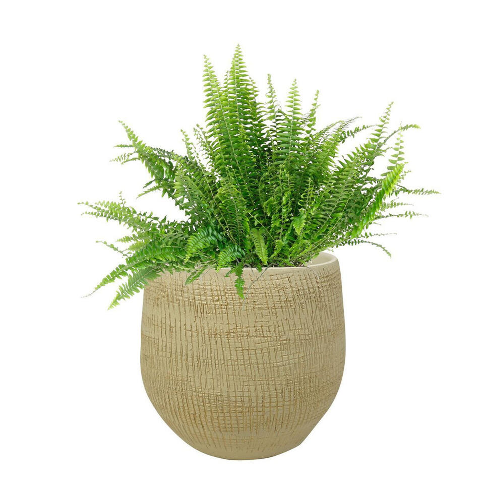 Steege Plantenpot - design look - zand kleurig - 31 x 28 cm