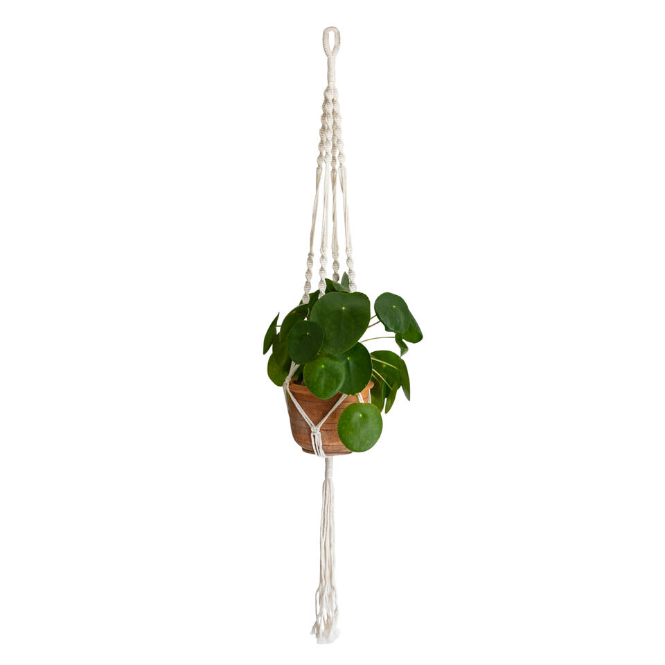 tapijt Mevrouw Verdachte QUVIO Plantenhanger gevlochten touw met spiralen - Wit | Leen Bakker