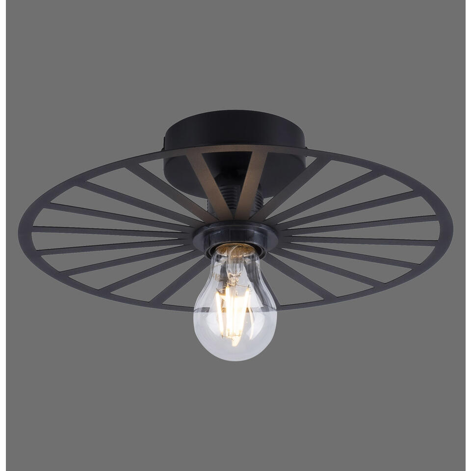 Paul Neuhaus Plafondlamp Isabella - Ø 30 cm - zwart