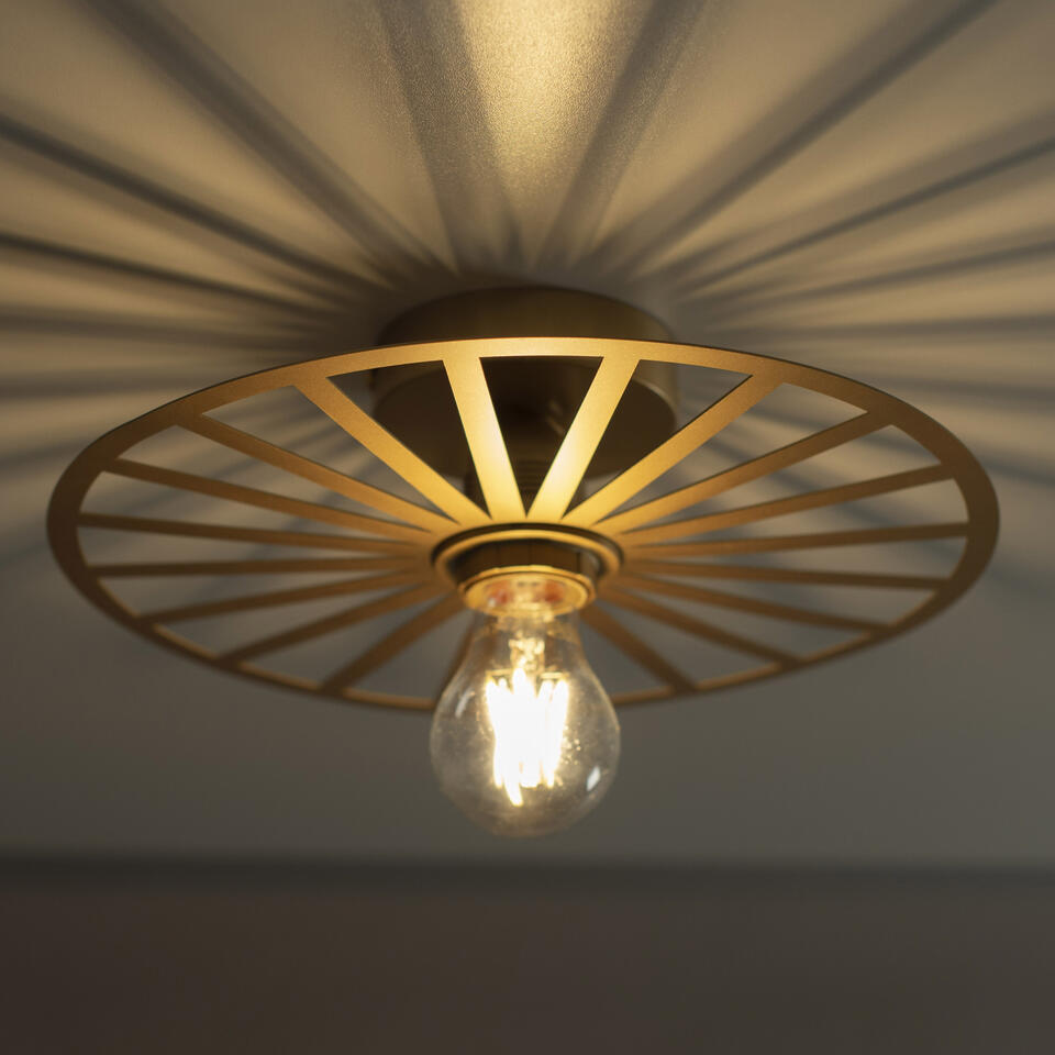 Paul Neuhaus Plafondlamp Isabella - Ø 30 cm - mat-goud
