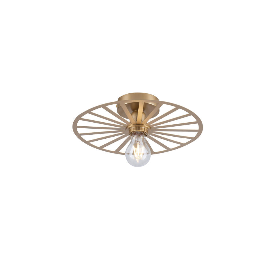 Paul Neuhaus Plafondlamp Isabella - Ø 30 cm - mat-goud