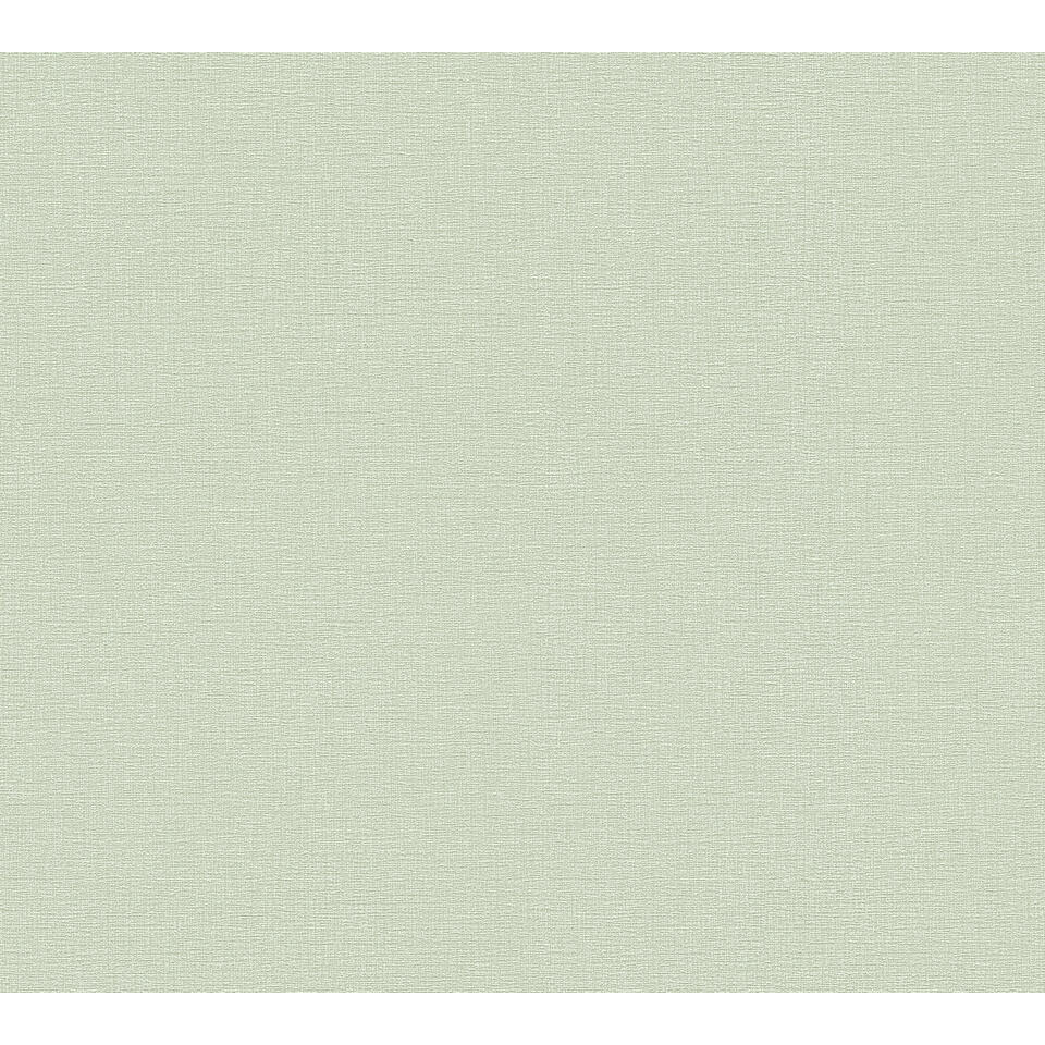 niettemin Omleiding Kenia A.S. Création behang - effen - groen grijs - 53 cm x 10,05 m - AS-367136 |  Leen Bakker