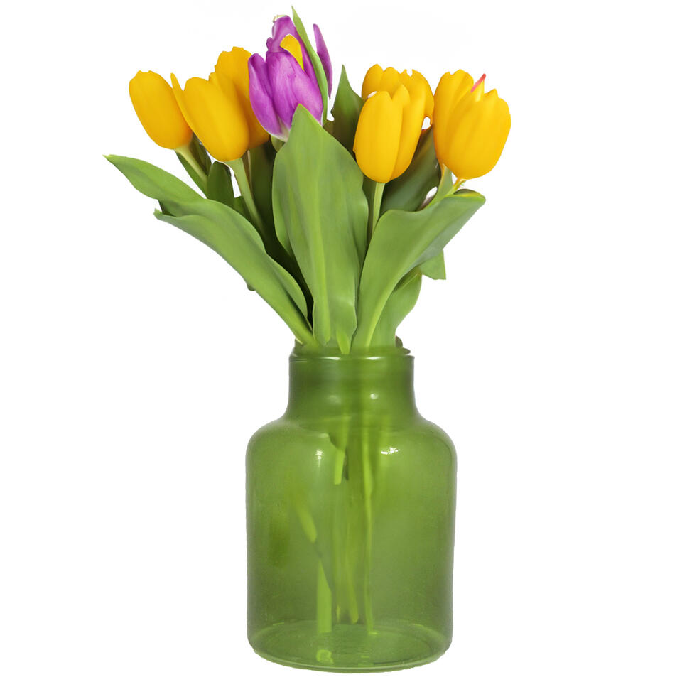 communicatie maandelijks toediening Floran Vaas - apotheker model - groen/transparant glas - H20 x D15 cm |  Leen Bakker