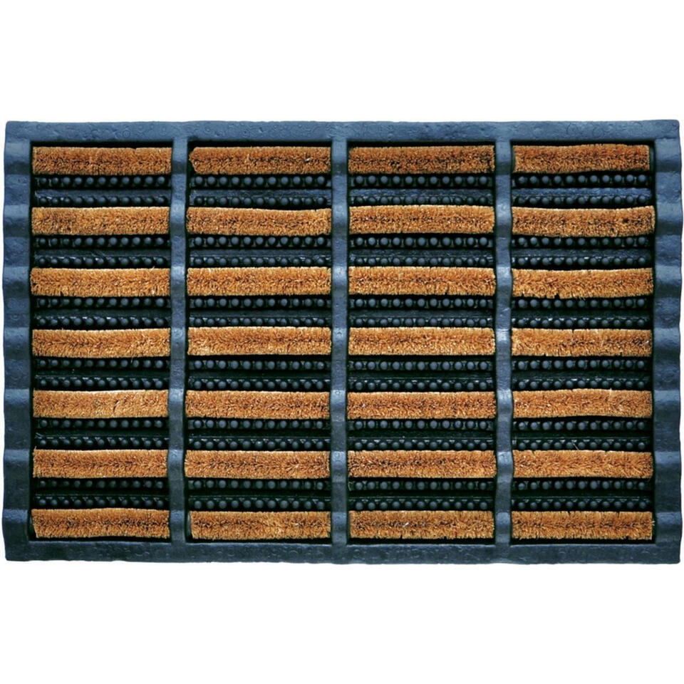 800279_5 800279_5