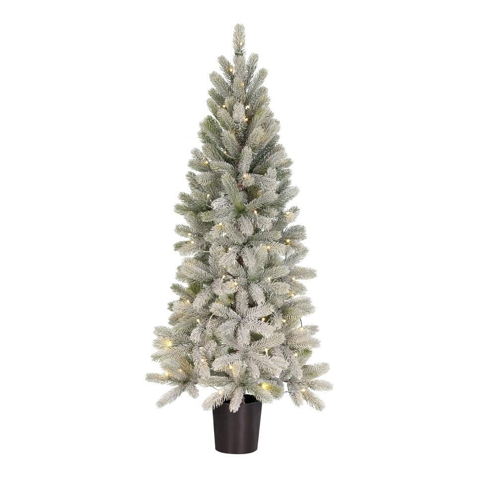 Black Box Trees Kunst Kerstboom Met Verlichting - Kunstkerstboom H215 X O56 Cm Groen Frosted 8720983042829 Black Box Trees Kunst Kerstboom Met Verlichting - Kunstkerstboom H215 X O56 Cm Groen Frosted 8720983042829