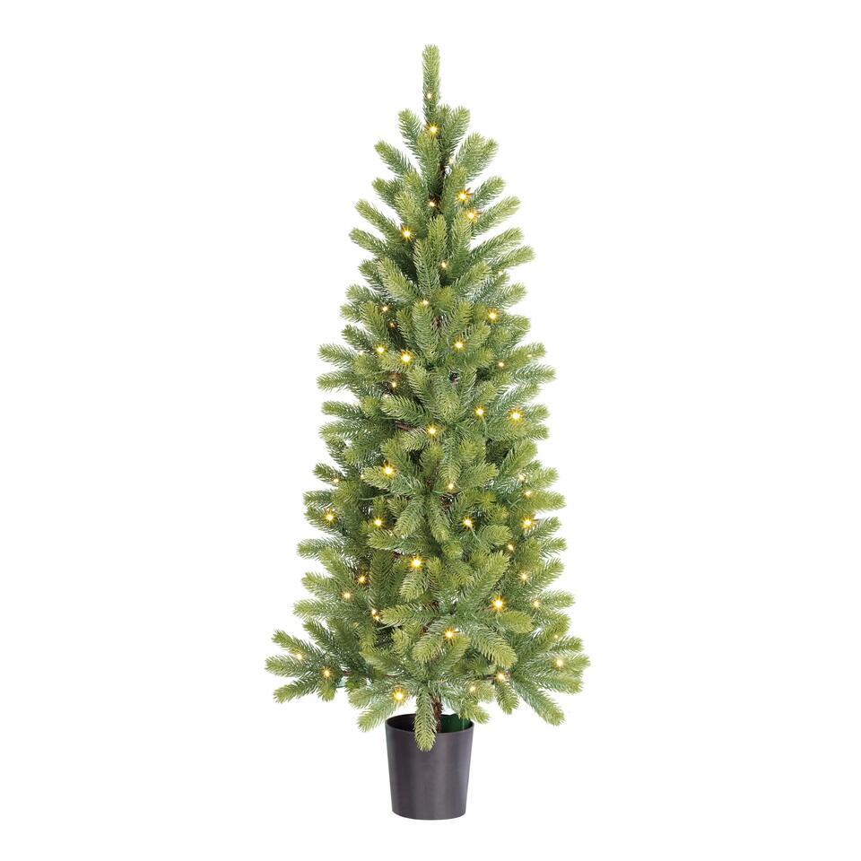 Black Box Trees Gerlos - kunstkerstboom met verlichting 51x120cm groen Black Box Trees Gerlos - kunstkerstboom met verlichting 51x120cm groen