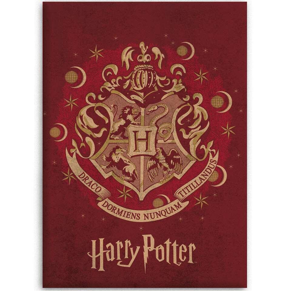 Harry Potter Fleeceplaid - Hogwarts - 100 x 140 cm - Rood