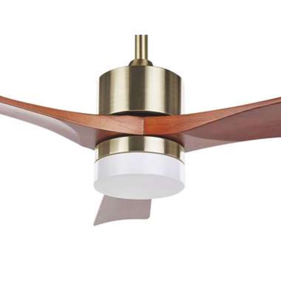 Beliani Plafondlamp met ventilator ARUWIMI - Donkere houtkleur ijzer, massief h