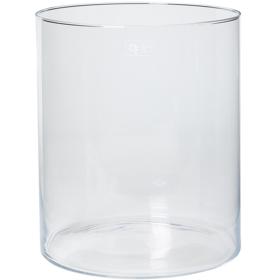 Netelig Milieuactivist Voorschrijven Bellatio Design Vaas home basics - cilinder - glas ? 30 x 35 cm | Leen  Bakker