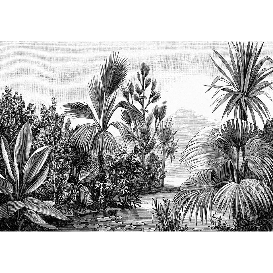 ESTAhome fotobehang - tropisch landschap - zwart wit - 4 x 2.79 m product