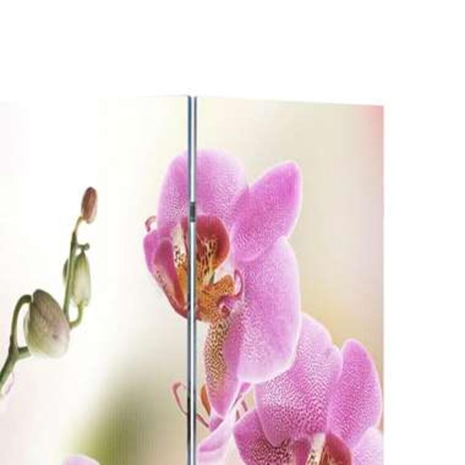 VIDAXL Kamerscherm - inklapbaar - bloem - 240x170 cm