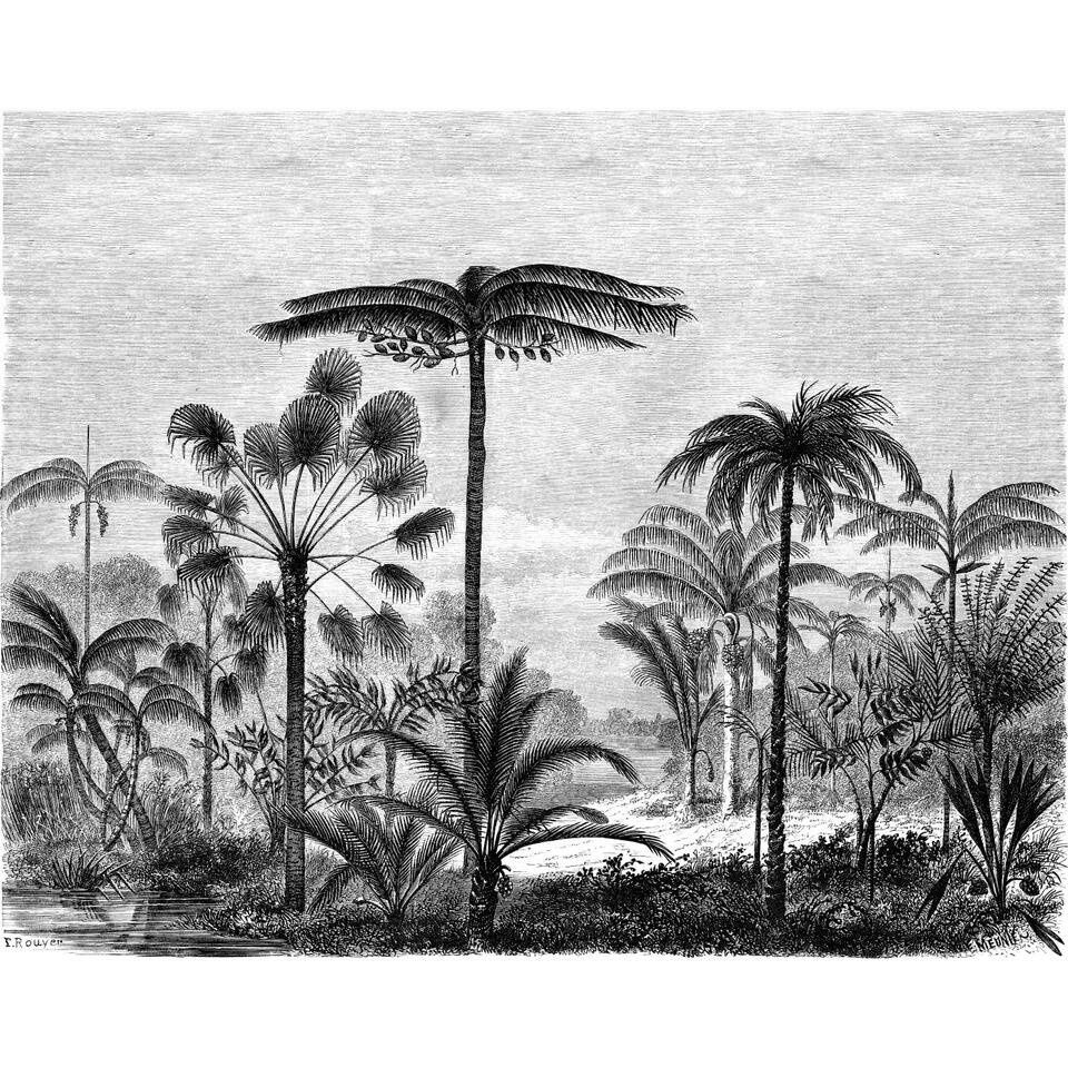 ESTAhome fotobehang - tropisch landschap - zwart wit - 3.5 x 2.79 m product