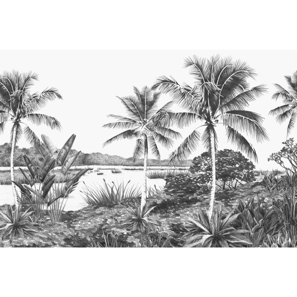 Origin fotobehang - landschap met palmen - zwart wit - 4.185 x 2.79 m product