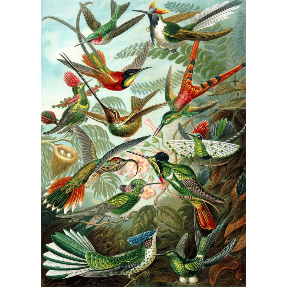 ESTAhome fotobehang - vogels - tropisch junglegroen - 2 x 2.79 m product