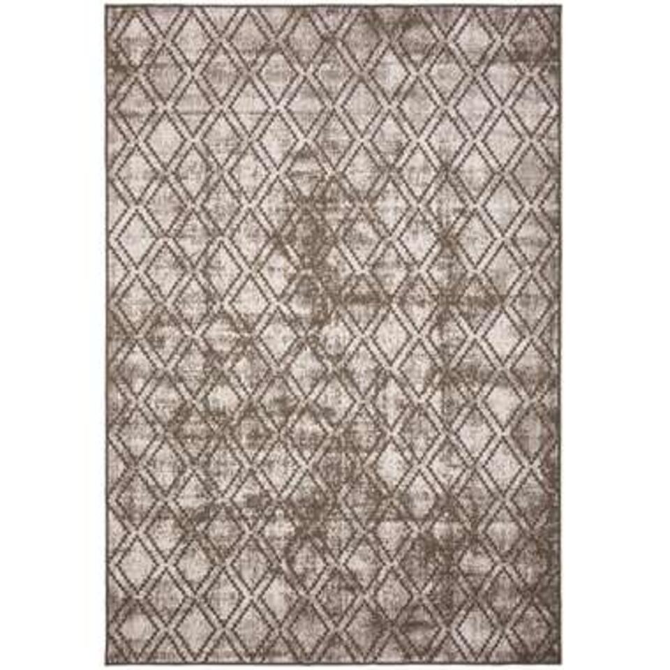 Verpersoonlijking Nebu Dollar Eva Interior Buiten vloerkleed Frost - Bruin/Wit - 280x380 cm | Leen Bakker