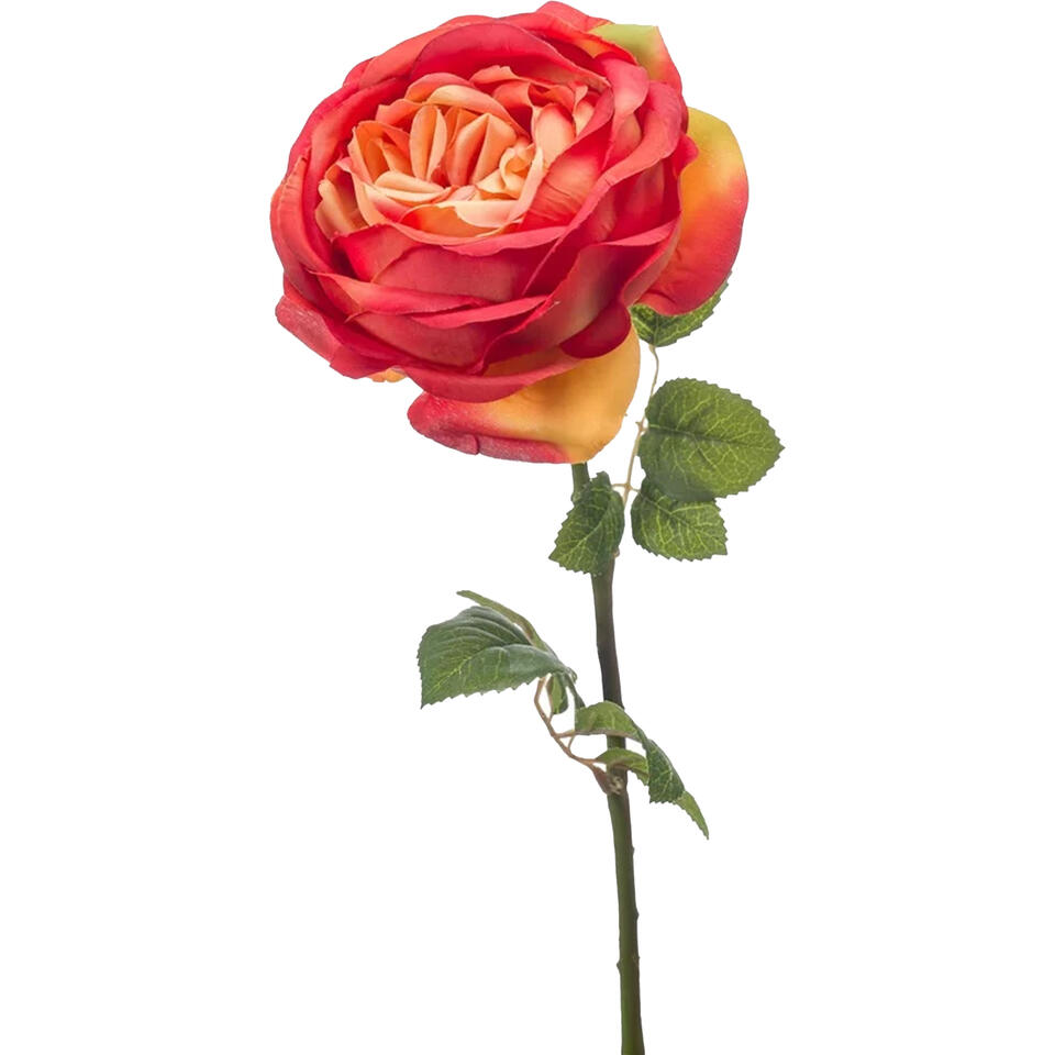 Verbeteren open haard Slang Bellatio flowers & plants Kunstbloem - roos - oranje - 66 cm | Leen Bakker