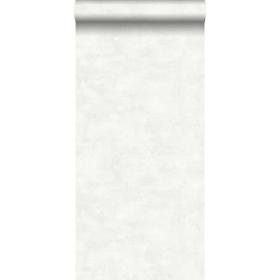 Pogo stick sprong fysiek verbinding verbroken ESTAhome behang - betonlook - licht grijs en wit - 53 cm x 10,05 m | Leen  Bakker