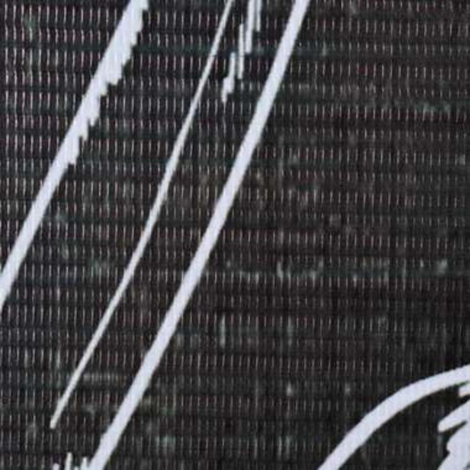 VIDAXL Kamerscherm - inklapbaar - veren - 228x170 cm - zwart en wit