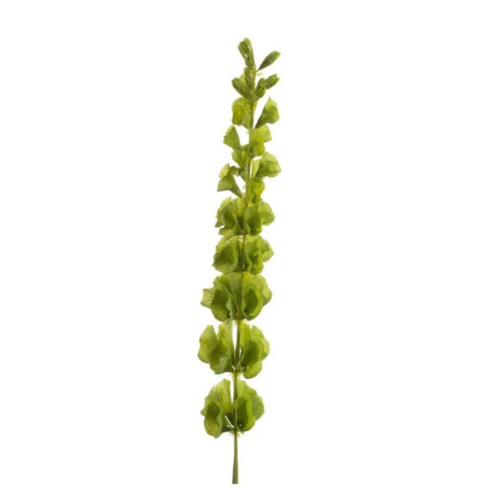 Kunstbloem - molucella - tak - groen - 80 cm