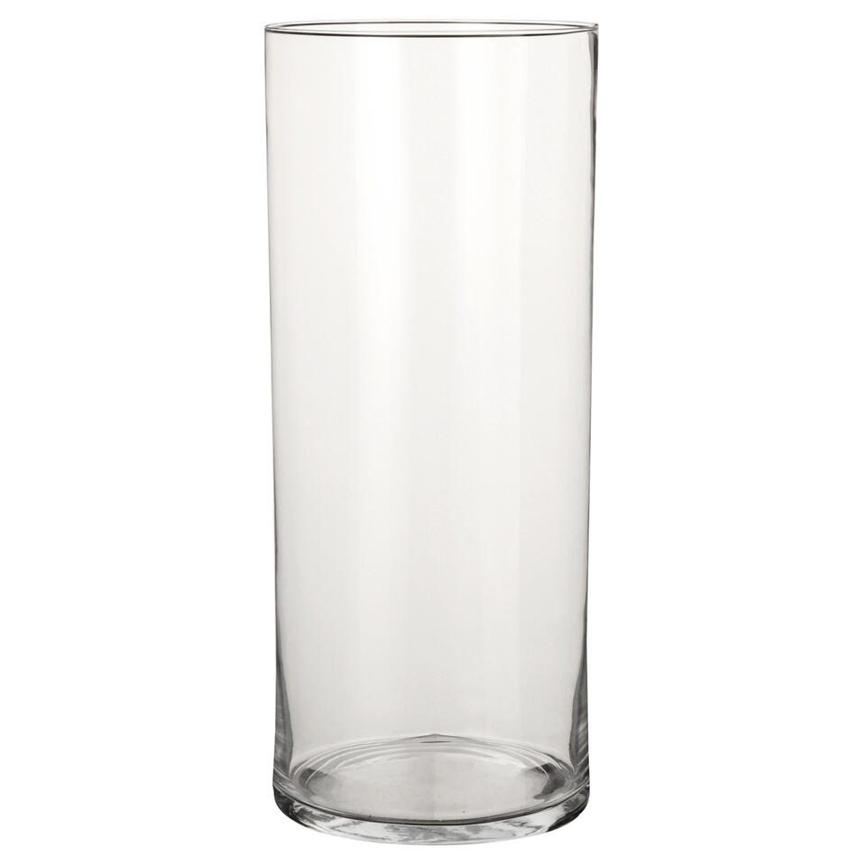 Geneeskunde Bezienswaardigheden bekijken Teken Mica Decorations Vaas - cilinder - glas - transparant - 48 cm | Leen Bakker