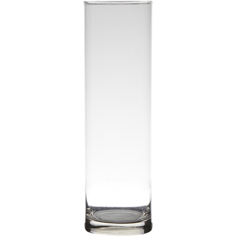 ironie gebied Viool Bellatio Design Vaas - cilinder - glas - 9 x 30 cm | Leen Bakker