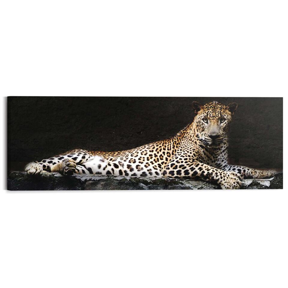 Schilderij Luipaard - Zwart - 40 cm | Leen Bakker