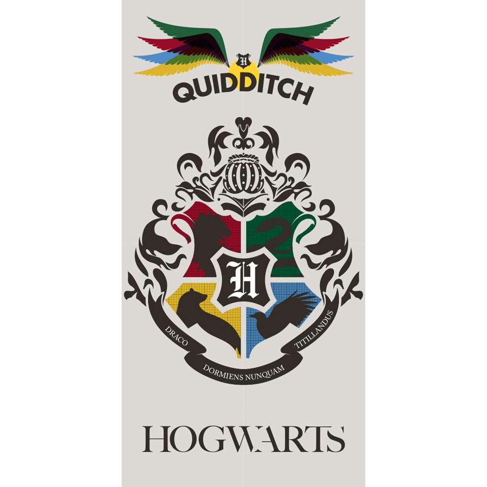 Harry Potter Strandlaken Quidditch - 70 x 140 cm - Multi product