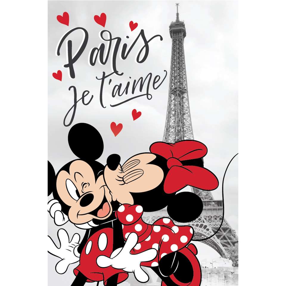 Disney Minnie Mouse Fleeceplaid Paris - 100 x 150 cm - Grijs