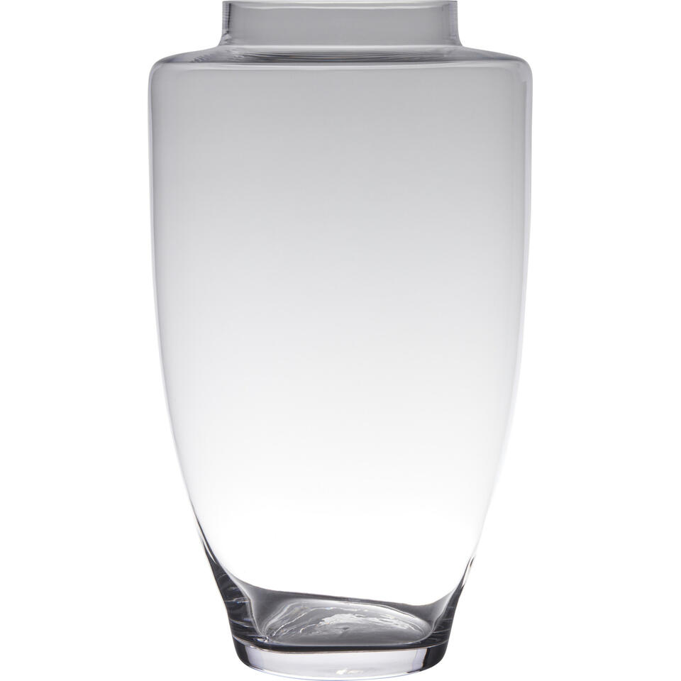 verraden brandstof Aanvankelijk Bellatio design Vaas - hoog - transparant - glas - 26 x 45 cm | Leen Bakker