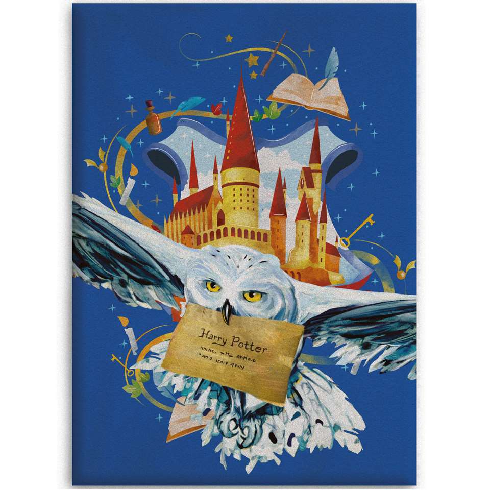 Harry Potter Fleeceplaid - Air Mail - 100 x 140 cm - Blauw