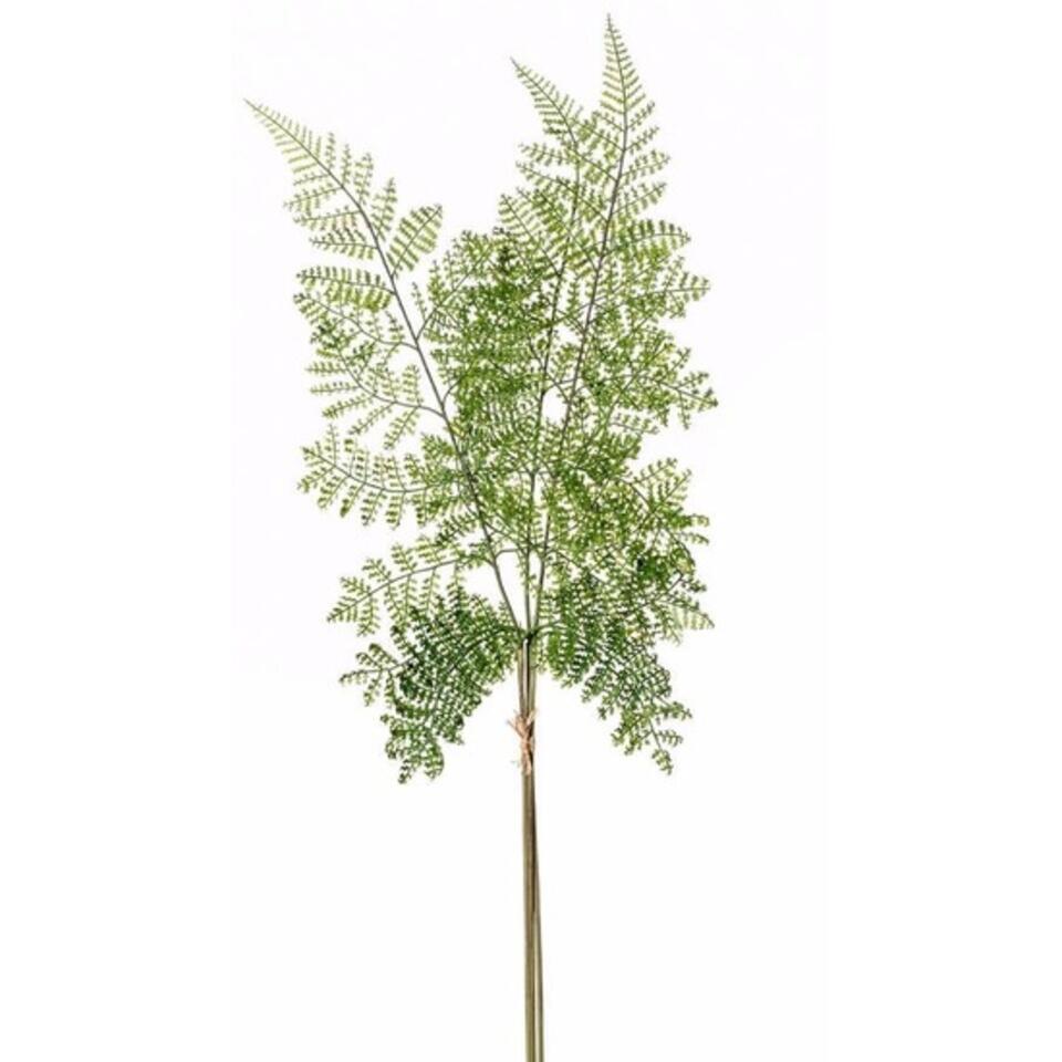 Kunstblad - bosvaren - Dryopteris Remota - tak - groen - 58 cm