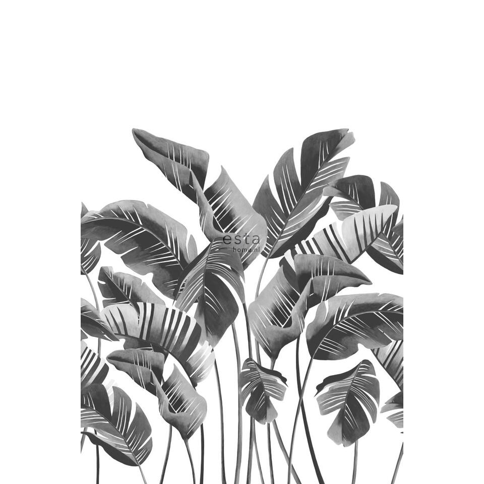 ESTAhome fotobehang - bananenbladeren - zwart wit - 1.86 x 2.79 m product
