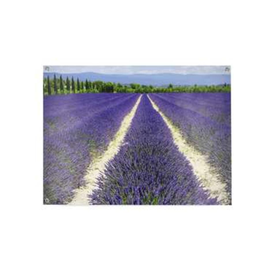 Art for the Home - Tuinposter - Lavendelveld - 70x100 cm