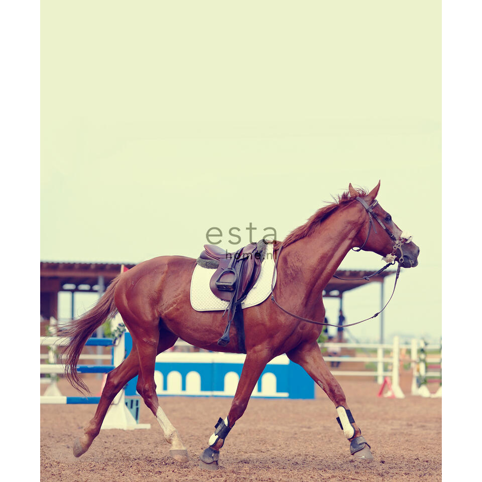 ESTAhome fotobehang - paard - bruin - 232.5 cm x 2.79 m product