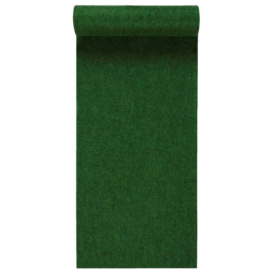 het ergste Arbitrage cowboy Kunstgras Savanne - groen - 200x400 cm | Leen Bakker