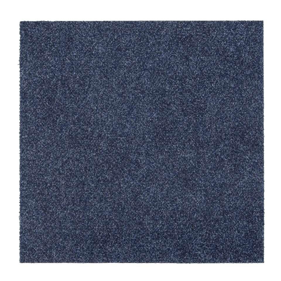 Tegel Andes - blauw - 50x50 cm