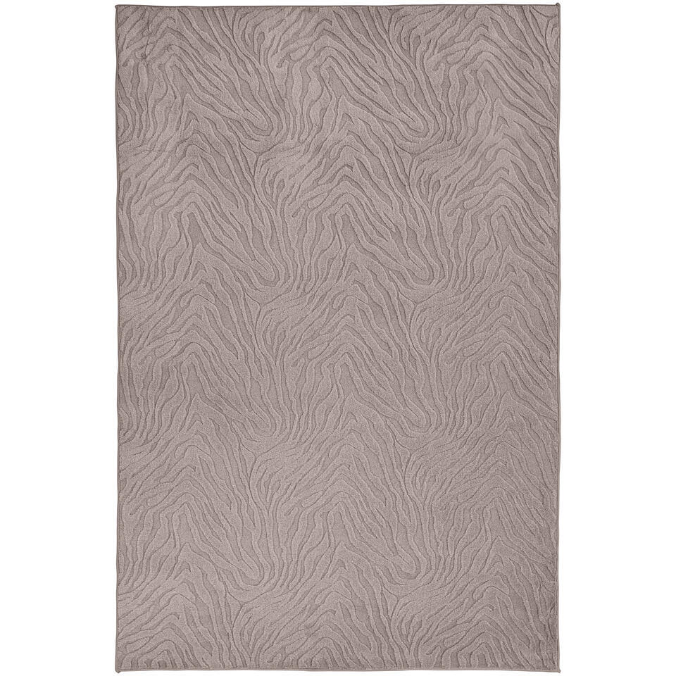 Leen Bakker Vloerkleed Isa 120x180 Cm Polyester Taupe