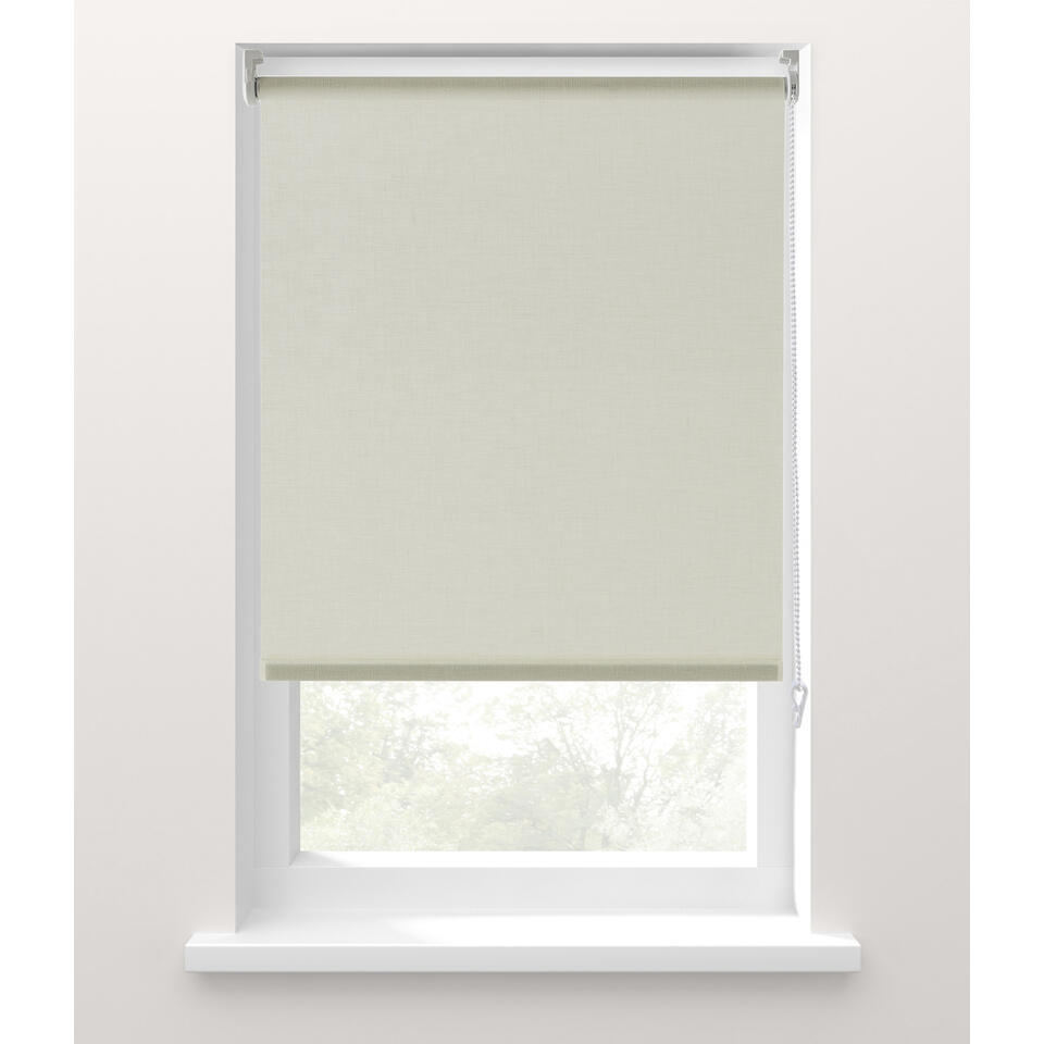 Leen Bakker - Fenstr Rolgordijn Transparant Offwhite - 120x190 Cm - Polyester - Wit
