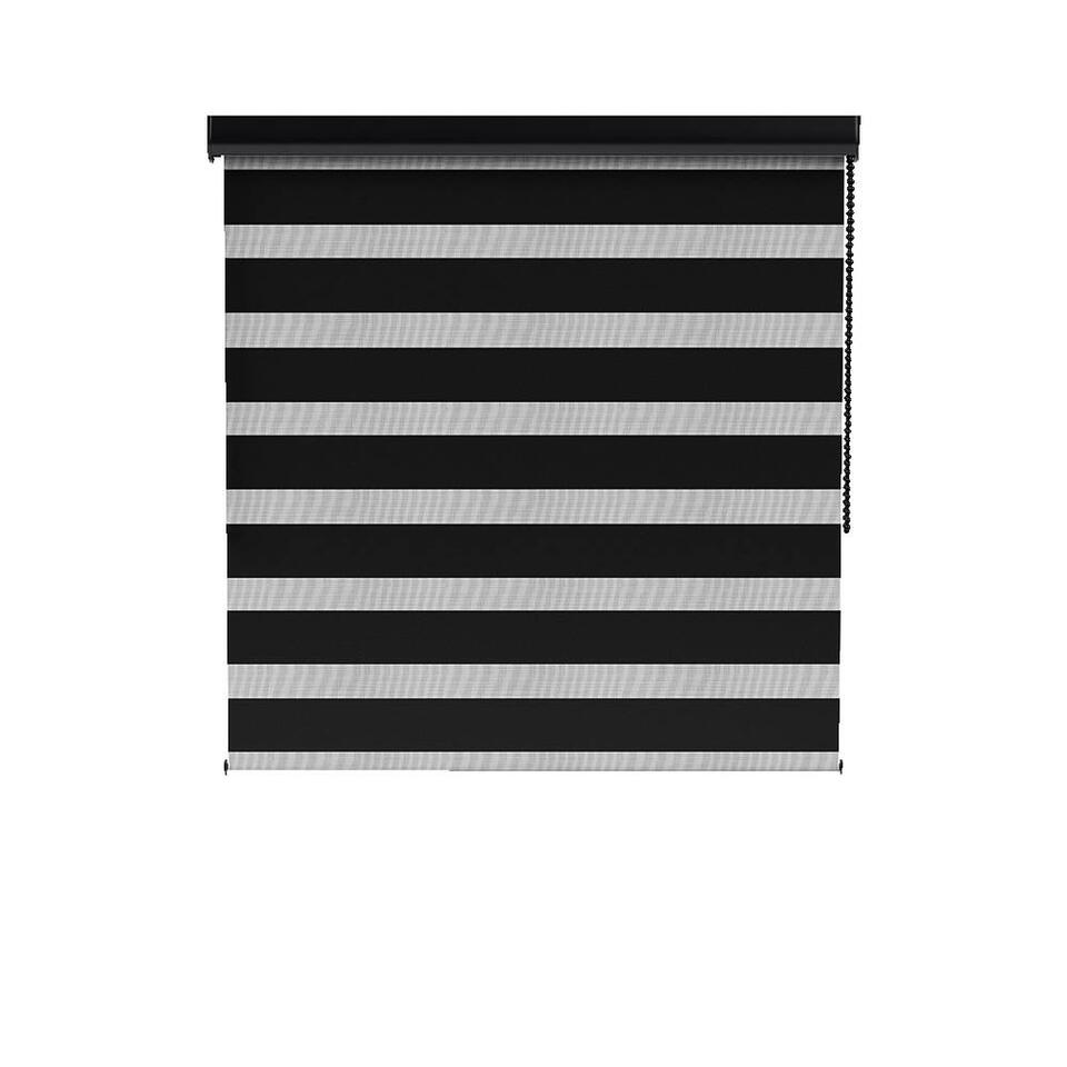 Fenstr rolgordijn lichtdoorlatend - zwart (15010) | Leen Bakker