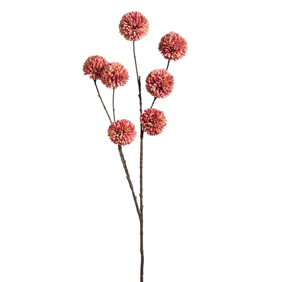 Leen Bakker - Kunstbloem Pompom Oud - 97 Cm - Katoen/PVC - Roze