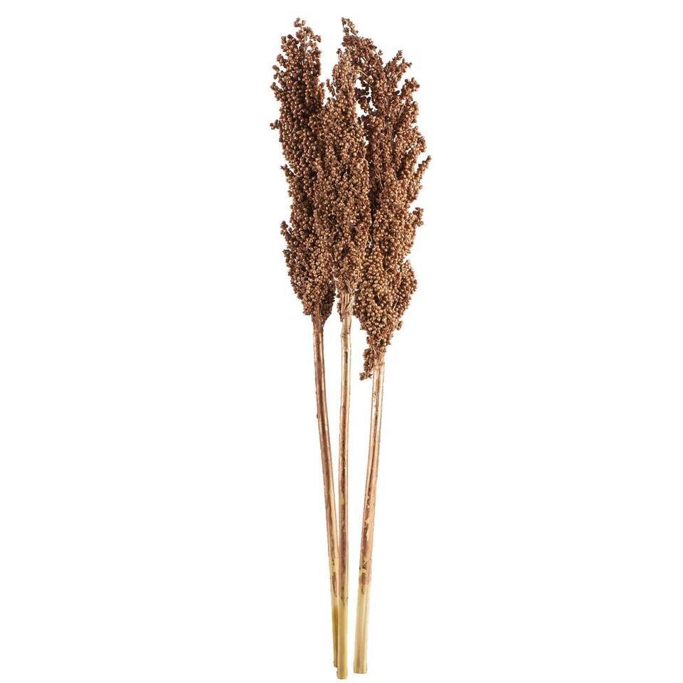 Droogbloemen Indian Corn 3 stuks - koperkleurig - 70 cm
