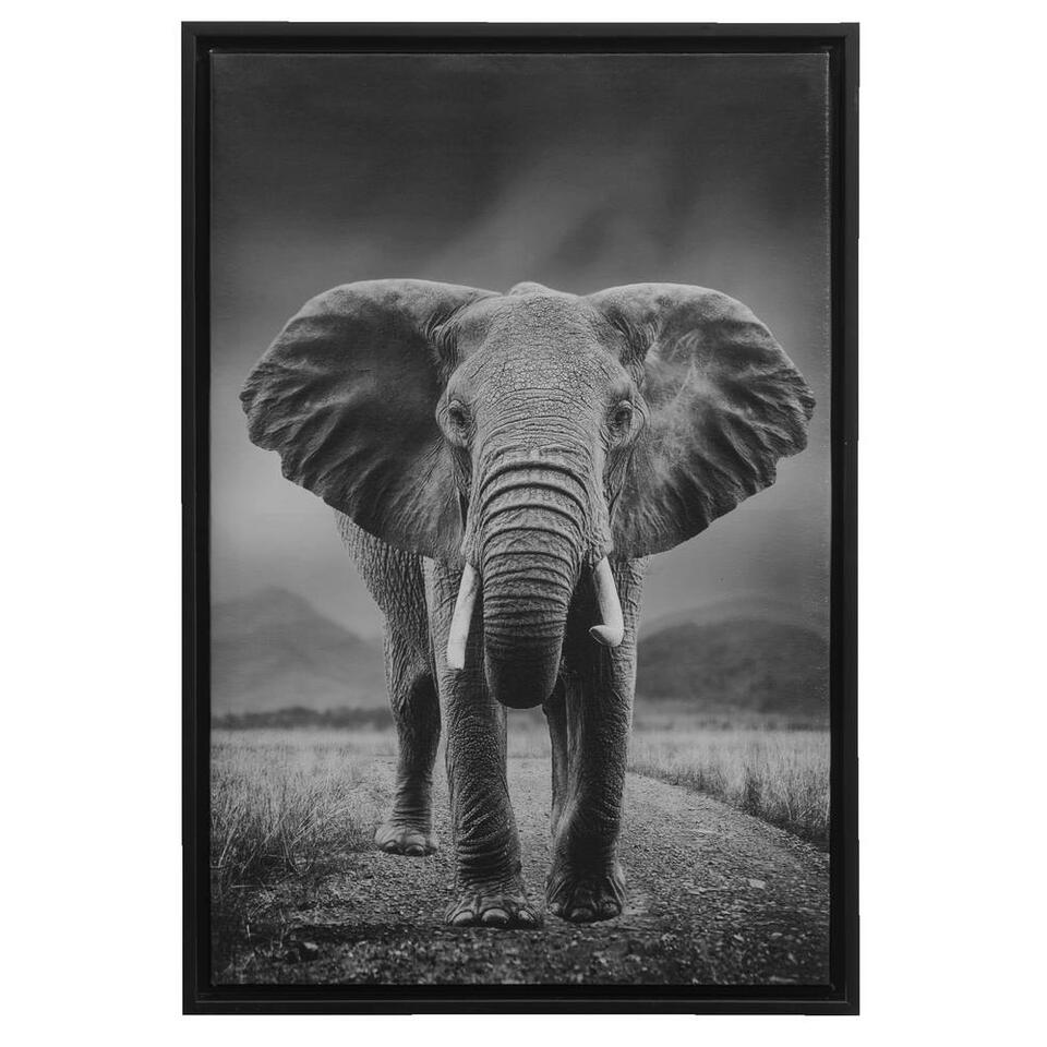 Hysterisch Kreunt Onderscheiden Schilderij Olifant - zwart - 64x44x4 cm | Leen Bakker