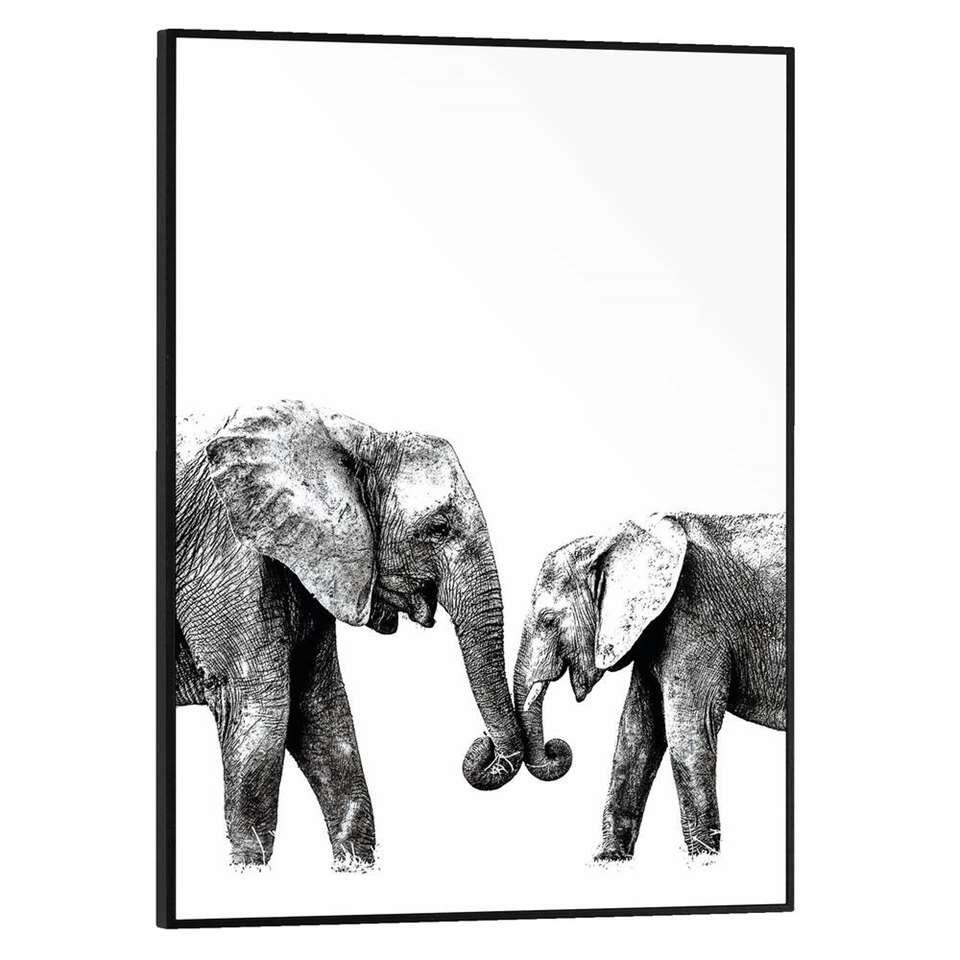 Poster met lijst Olifanten - 40x30 cm