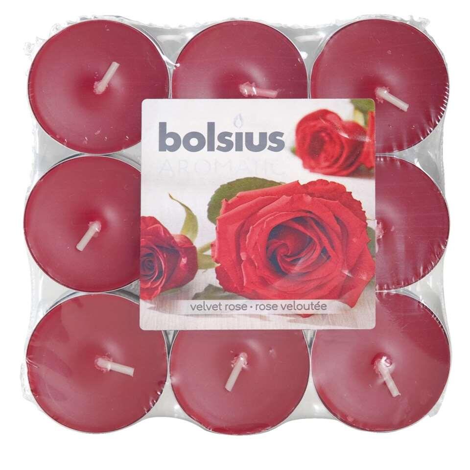 Bolsius geurtheelicht velvet rose - rood (18 stuks)