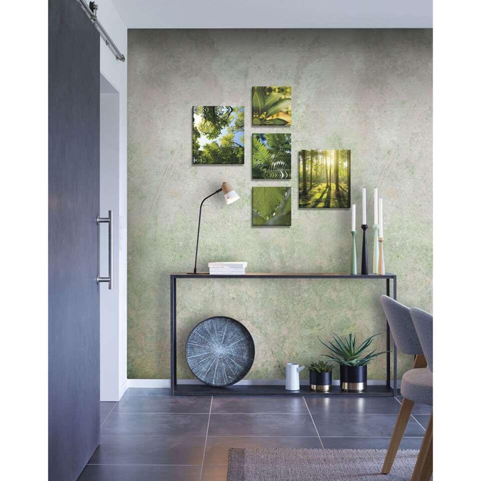 Wohnidee canvas set van 5 Groene Stilte groen 60x80 | Leen Bakker