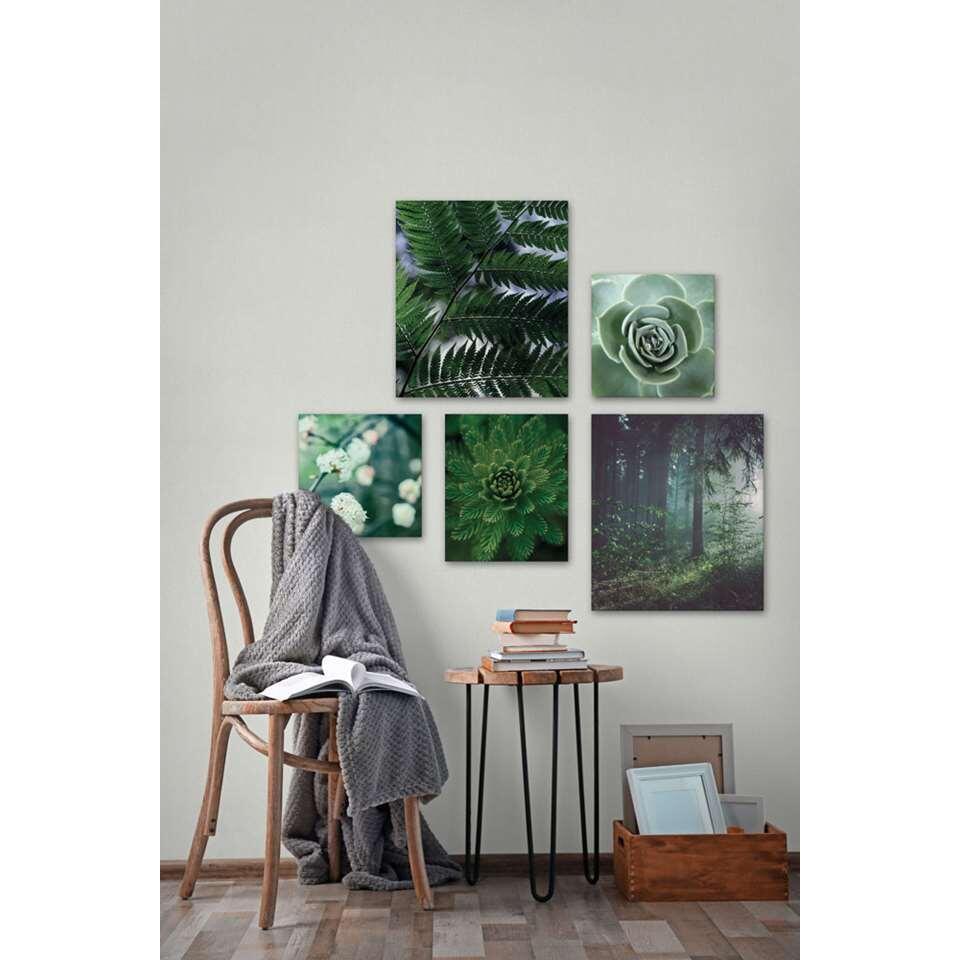 Wohnidee canvas set van 5 Puur Natuur - groen 60x80 | Leen Bakker